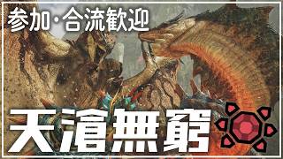 【MHWilds】野良行って鎧玉もさもさ：天滄無窮【モンスターハンターワイルズ】