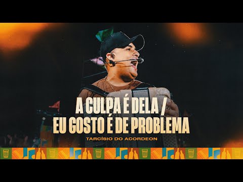 A CULPA É DELA / EU GOSTO É DE PROBLEMA - Tarcísio do Acordeon (Tarcisiologia)