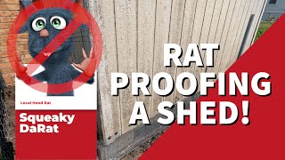 HOW TO RAT PROOF A SHED | How to keep rats OUT!