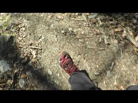 Frei(e)zeit - Wanderung "Zacken-Beilstein-Steig" am Weilsberg