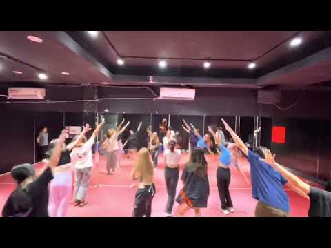 PINK VENOM ‘BLACKPINK’ Dance cover by TRIANGLE (Dance Practice ver.)