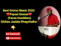 Best Oromo Music 2022 Feysal Osman Fesse Hunddara Siirbaa Jaalala Dhagefadha