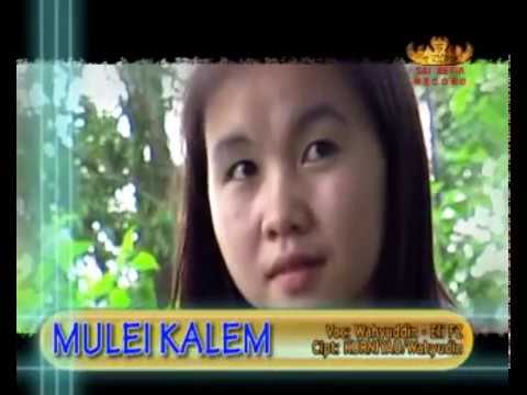 MULEI KALEM - WAHYUDIN - REMIX LAMPUNG