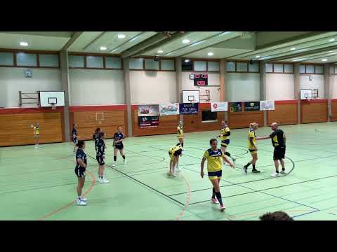 F-LL-4: SG Argental I - HSG Langenau-Elchingen I 45:33 (22:17)