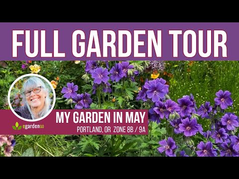 Late Spring Garden Tour 🌿 My Portland Garden (Zone 8b/9a)