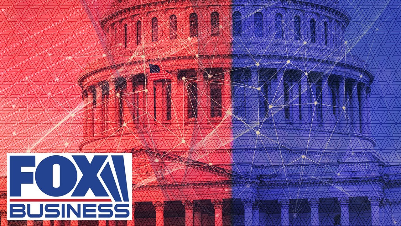 'DO NOT VOTE WRONG': Tomi Lahren sounds alarm on blue-state flight to red states