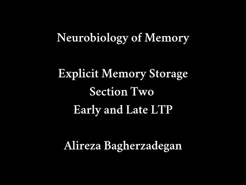 Lecture 12: Explicit Memory storage, Section Two, Early and Late LTP