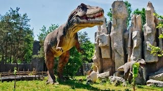 Рыбалка в парке солнечный остров краснодар