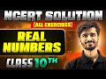 Real Numbers Complete NCERT BACK EXERCISE In 1 Video Class 10th Board