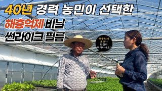 고추 총채벌레 배추 진딧물 노린재 담배나방 무 농약 해충방제 비닐멀칭 썬라이크필름
