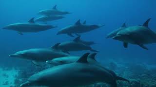 Mike + the Mechanics - Let Me Fly (2017)