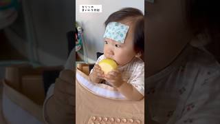 2025.10.31 セリンのまいにち日記 / がんばりやさんのセリン💛 Smiles after medicine