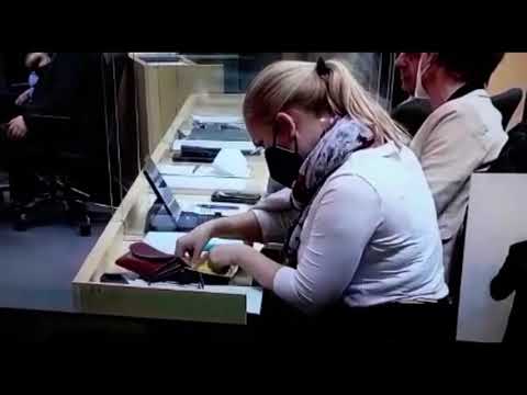 Eva Maria Himmelbauer fälscht Impfpass im Nationalrat Skandal