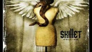 skillet my obsession