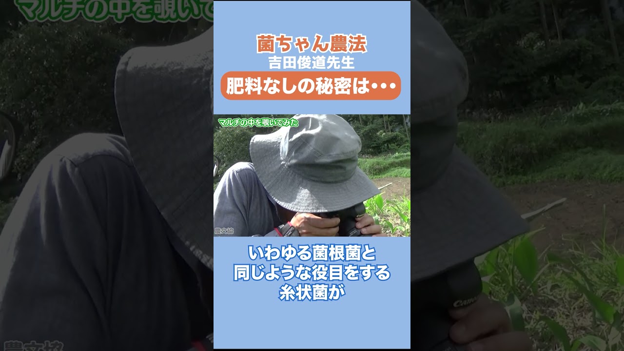 肥料なしの秘密は…／菌ちゃん農法