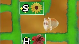 Download lagu Learn the ABC’s: “H” is for Hamster mp3