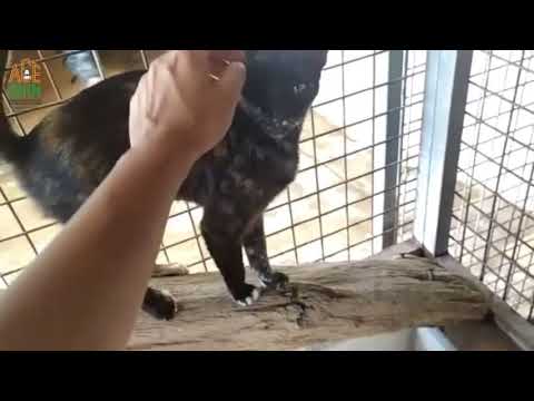 ACE | SHIN - Carlota & Mariluz