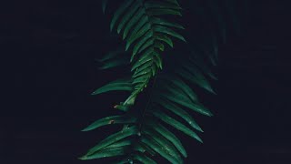 Download lagu 10 menit musik relaksasi untuk tidur - langsung tidur dalam 2 menit!!! mp3