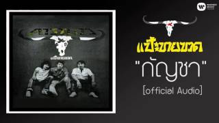 กัญชา – คาราบาว