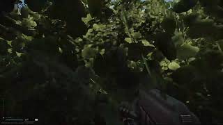 noobs