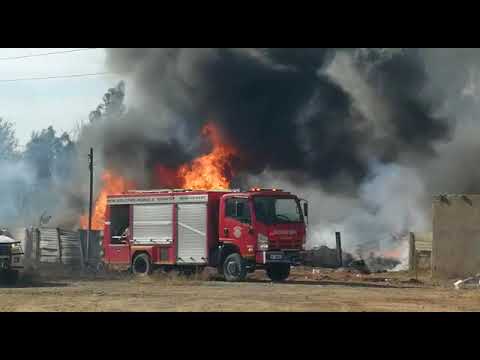 Building in Newcastle Industria gutted by fire