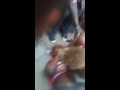 Two Kisumu Women Fight And Tear Each Others Clothes