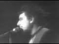 David Bromberg - Idol With A Golden Head - 4/17/1976 - Capitol Theatre (Official)