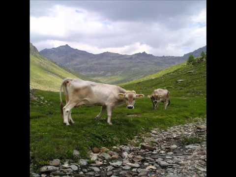 Grosio e valli  con poesia Romano Battaglia