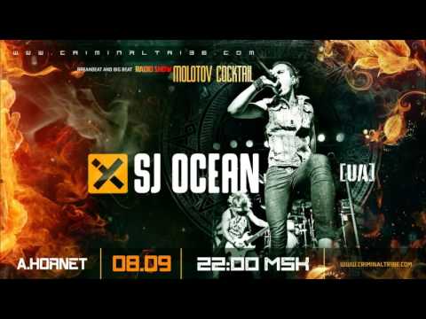 Molotov Cocktail #031 - Sj Ocean [UA] guest breakbeat mix (08.09.16)