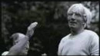 Monkey Business  - Piece of my life