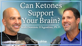Can Ketones Help the Brain When Glucose Fails? | Dominic D’Agostino, Ph.D.