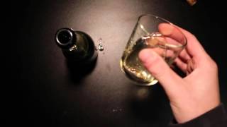 Northerner Reviews - Cheap Champagne OMG ... Second Video!!! 002