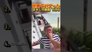 【俺の厳選】世界でバズった動画集🐾Part12