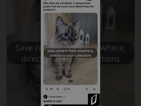 Sylego – Save Posts & Links video thumbnail