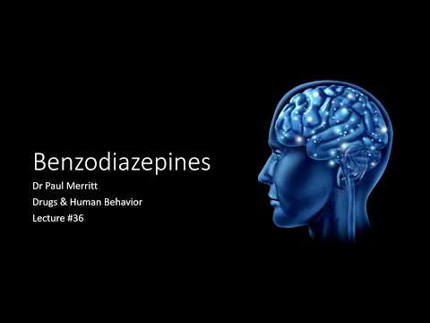 Ezkörkép II PDF 2008 06 23