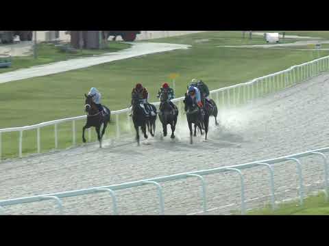 2017.08.20. 8. futam - SLINSBY HENDIKEP (III.o.) (szintetikus pálya)