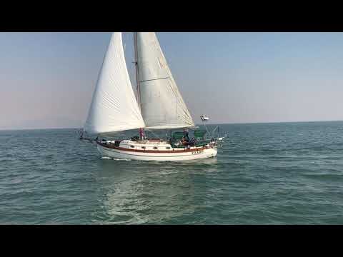 AA4A10AC 2CD0 4DFE 9C88 41FD299DECA6