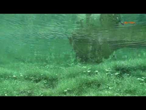 Ein Tauchgang am Grünen See