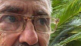 🐝 SÃO E SALVO 🐝