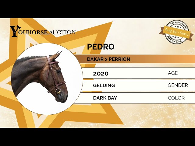 Pedro