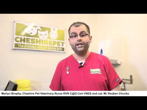 Cheshire Pet, How to guide #3 - Administering flea & tick treatment