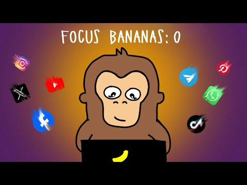Monkey Can’t Focus (And How to Stop Getting Distracted)