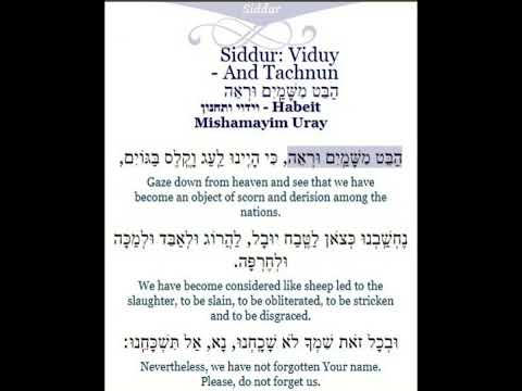 Habet Mishama'im - Modzitz