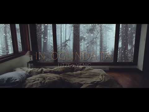 UTZE ❌ YENIC  -  IN OGLINDA TA  | Official Lyrics Video  |