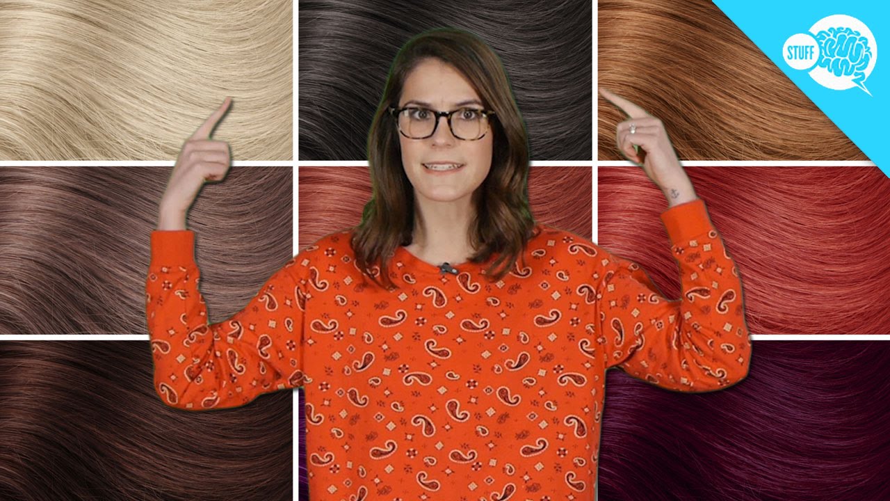 What Determines Your Hair Color