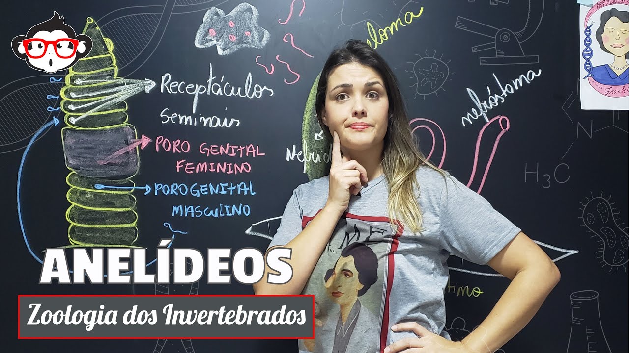 Zoologia dos Invertebrados - Anelídeos 🐵📚