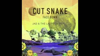 Face Down (Jad & The Ladyboy Remix) - Cut Snake