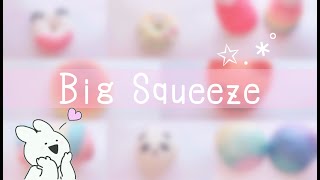大きいスクイーズ紹介❁⃘*.ﾟ