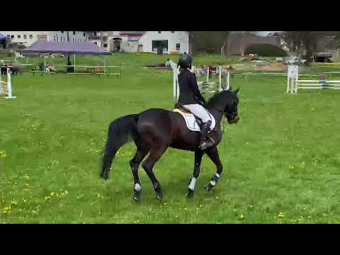 Majda Dvoreček 6.5.2023 Military -  parkur