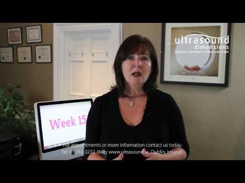 15 Weeks Pregnant - Your 15th Week Of Pregnancy